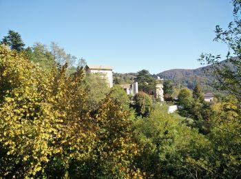 Tour Zu Fuß Campomorone - Busalla - Passo della Bocchetta - M. Leco - Photo