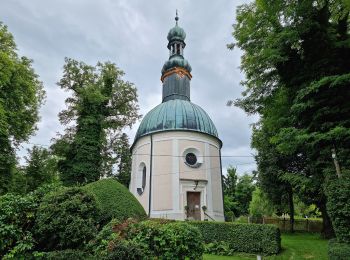 Tour Zu Fuß Röhrmoos - MVV Wanderweg Ring - Photo