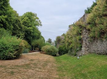 Percorso Marcia Mont-Dol - dol de  Bretagne  - Photo