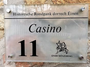 Tour Zu Fuß Wormeldingen - Fleche Bleu Ehnen - Photo
