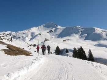 Excursión A pie Moggio - Sentiero Antichi Cippi Confinari - Photo