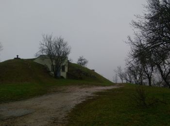 Trail Walking Beblenheim - Perles du vignoble - Photo