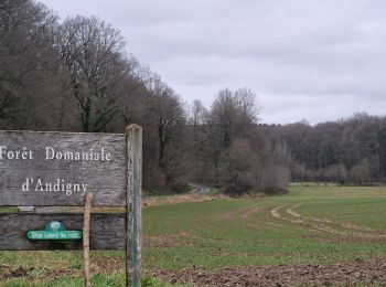 Tour Wandern Seboncourt - forêt d'andigny - Photo