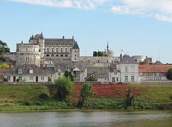 Tour Wandern Amboise - Amboise - GRs - 9km 95m 2h00 - 2018 09 30 - Photo