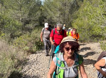 Trail Walking Pourrières - Puyloubier  - Photo