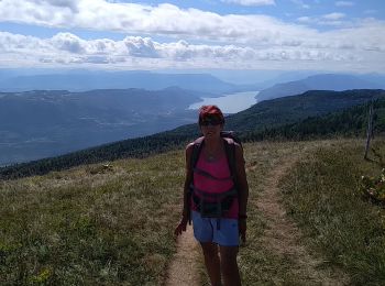 Tour Wandern Arvière-en-Valromey - le grand colombier - Photo