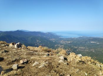 Tour Wandern Sari-d'Orcino - San Damiano - Photo