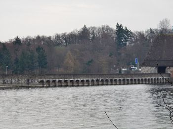 Randonnée A pied Möhnesee - Günner Hude Rundweg A5 - Photo