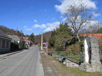 Tour Zu Fuß St. Veith - Források Útja - Photo