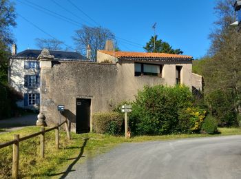 Excursión A pie Saint-Benoît - SityTrail - st Benoit : la médoquerie - Photo