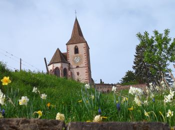 Randonnée Marche Mittelwihr - Mittelwihr - Beblenheim - Zellenberg - Hunawihr  - Riquewihr -  Nécropole de Sigolsheim - Photo