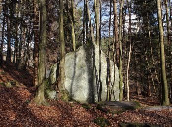 Randonnée A pied Gemeinde Wiesmath - Wiesmath - Beilstein - Wiesmath - Photo