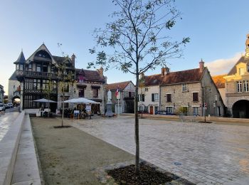 Tocht Stappen Saint-Pierre-lès-Nemours - De Nemours à Moret + halte resto Bourron Marlotte - Photo