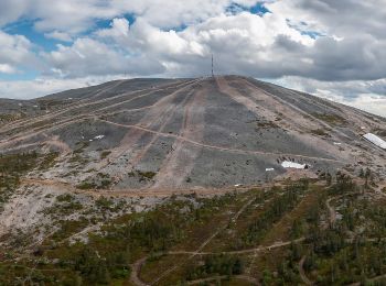 Randonnée A pied Kolari - Varkaankurunpolku - Photo