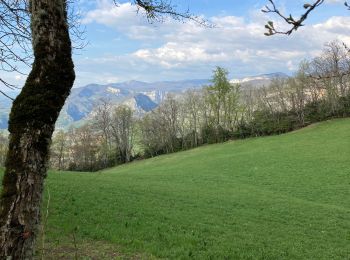 Trail Motorbike Bouvante - Tour La Chapelle  - Photo