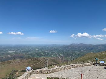 Trail Walking Ascain - Col de la Rhune - Photo