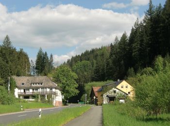 Tour Zu Fuß Presseck - Durch die Kösten RWF 56 - Photo