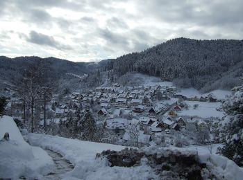 Tocht Te voet Oberndorf am Neckar - Oberndorf - Schenkenzell - Photo