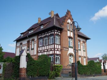 Tocht Te voet Lübbenau/Spreewald - Rundwanderweg Lübbenau-Groß Beuchow ( gelber Punkt) - Photo