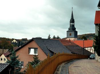 Percorso A piedi Südharz - Rundweg Hainrode - Photo