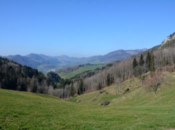 Excursión A pie Langenbruck - Helfenberg - Mümliswil - Photo