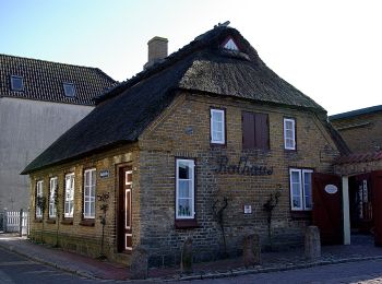 Percorso A piedi Maasholm - Rundwanderweg 15 Fisch - Photo