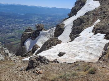 Tocht Stappen Gap - Cuchon-Pic de Charance - Photo