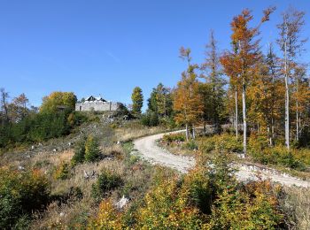 Tocht Te voet Gemeinde Kirchberg an der Pielach - Hohenstein - Photo