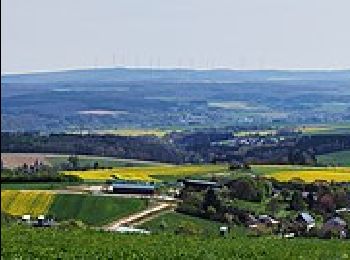 Tour Zu Fuß Dachsenhausen - Dachsenhäuser Runde - Photo