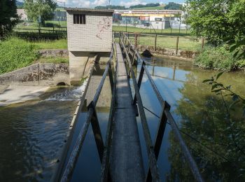 Randonnée A pied Matzingen - Sonnenberg - Stettfurt - Matzingen - Photo