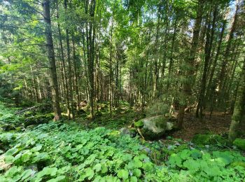 Tour Wandern Linthal - rdpr lac de la lauch 210810 - Photo