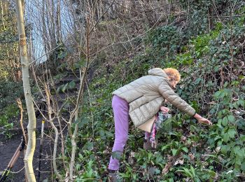 Tocht Stappen Luik - Angleur - Photo