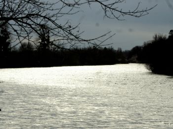 Tocht Stappen Rochefort-sur-Nenon - dessus et dessous les roches - Photo