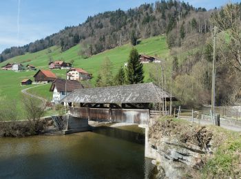 Randonnée A pied Hasle (LU) - Chrummatt - Bergli - Photo