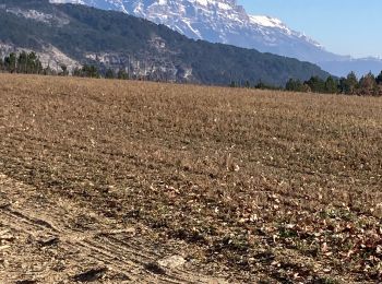 Randonnée Marche Barsac - Ste croix reco - Photo