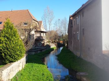 Tour Rennrad Rohrbach - Sortie Ã  vÃ©lo matinale - Photo