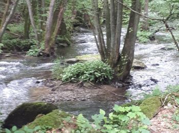 Tour Wandern Libin - Lesse - Promenade de la Lesse (LI06) - Photo