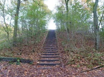 Trail On foot Blaricum - Tafelbergheide - Photo