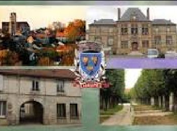 Randonnée Marche Chaumes-en-Brie - Autour de CHAUMES en BRIE - Photo