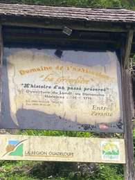 Trail Trail Baillif - La griveliere - Photo