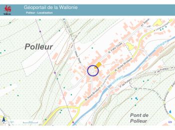 Tocht Stappen Theux - 20240527 - Polleur 7 Km - Photo