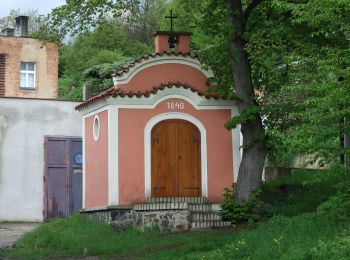 Percorso A piedi Číčovice - [Ž] Malé Číčovice - Zákolany - Photo