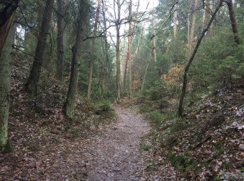 Tocht Te voet Buchholz in der Nordheide - Ho-Se Roter Rundwanderweg - Photo