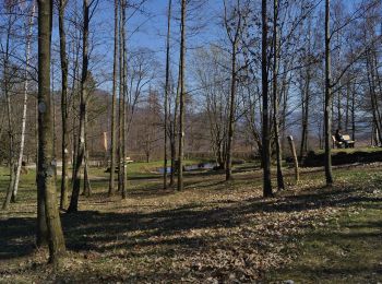 Trail On foot Wernersberg - Richard-Löwenherz-Weg - Photo