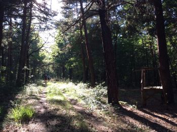 Randonnée Marche Saint-Christol - Forêt Saint-Christol - Photo