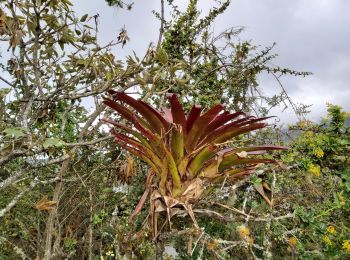 Trail Walking Quiroga - Laguna de Cuicocha - Photo