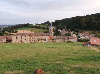 Tour Wandern Sauvessanges - PR de randonnée de Sauvessanges  - Photo