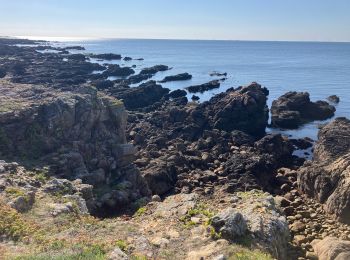 Excursión Ruta Batz-sur-Mer - Tour du Croisic(20.5K 100D+) - Photo