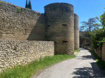 Excursión Senderismo Cabrières-d'Avignon - Cabrières d’Avignon mur de la peste  - Photo