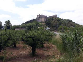 Excursión Bicicleta híbrida Foz do Arelho - Obidos - Photo